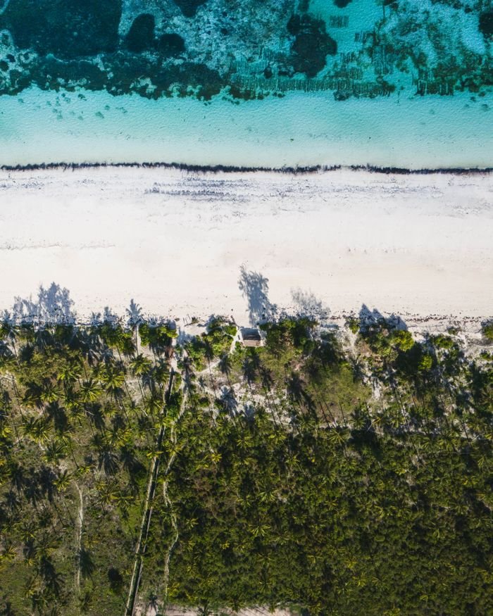 Stunning aerial view capturing Zanzibars turquoise waters, white sand, and lush palms.
