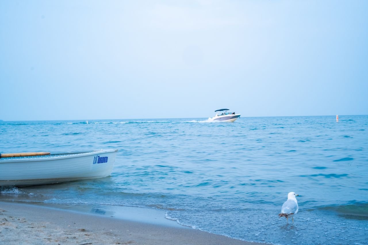 A serene view of a motorboat and a seagull on a sandy beach in Toronto, Canada.